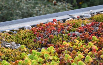 the cost of Gayton Le Marsh green roof installation