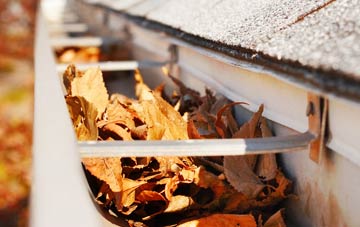 Gayton Le Marsh gutter cleaning companies