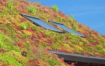 Gayton Le Marsh living roof systems