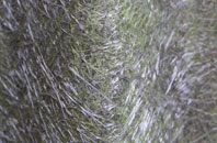 Gayton Le Marsh fibreglass roof work
